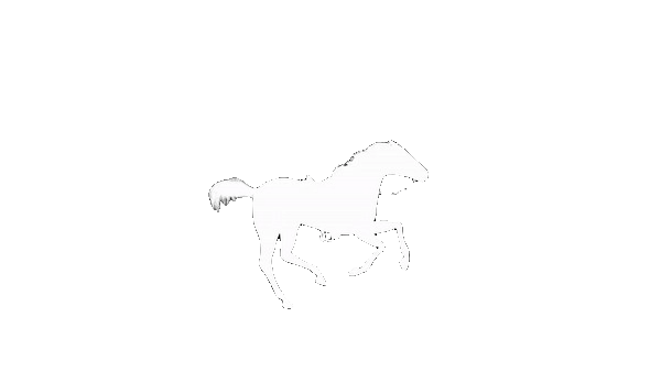 Loading...